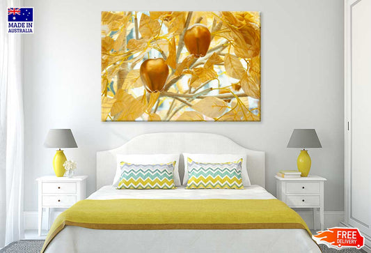 Golden Apples with Branch View Photograph Print 100% Australian Made