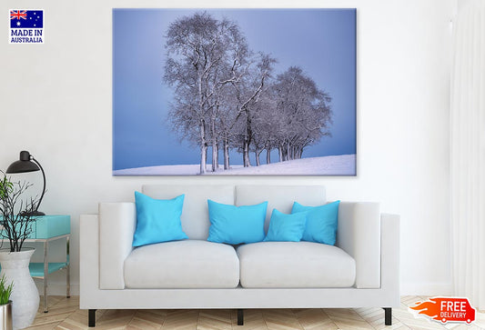 Snow Covered Trees Photograph Print 100% Australian Made