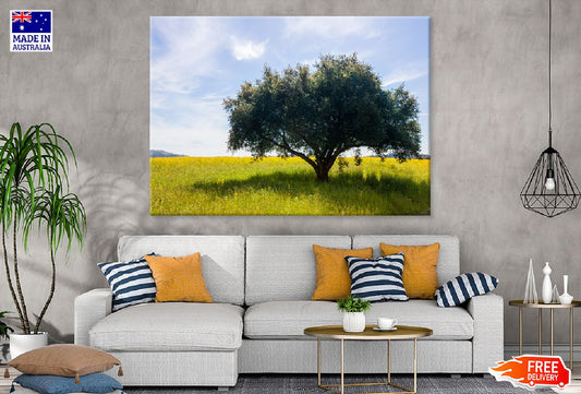 Lush Green Single Tree in Field Photograph Print 100% Australian Made