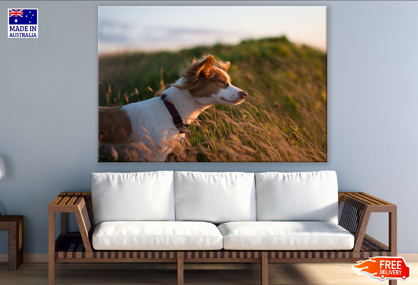 Dog Closeup Sunset Photograph Print 100% Australian Made