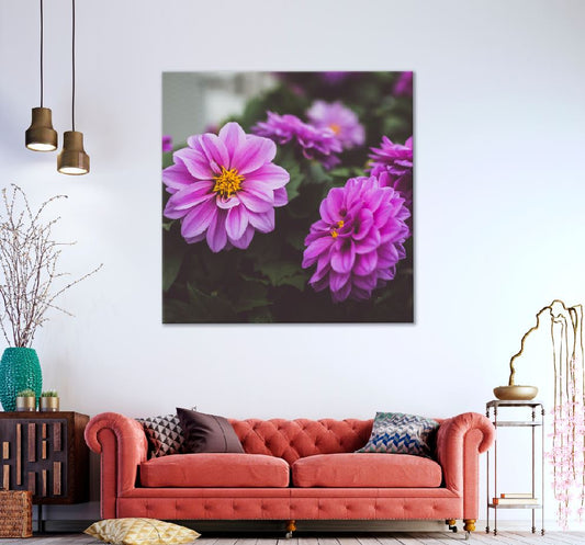 Square Canvas Pinnate Dahlia Flowers View Photograph High Quality Print 100% Australian Made