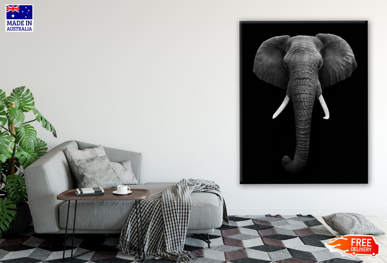 Elephant Portrait B&W Photograph Print 100% Australian Made