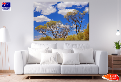 Trees & Sky View Photograph Print 100% Australian Made