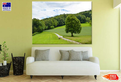 Huge Tree & Forest in Meadow Photograph Print 100% Australian Made