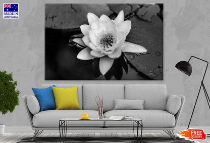 Lotus Flower On Water B&W Photograph Print 100% Australian Made