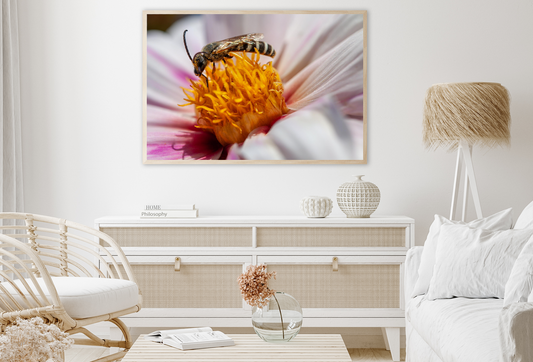 Dahlia Flower & Bee Photograph Home Decor Premium Quality Poster Print Choose Your Sizes