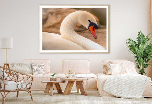 White Swan Closep View Photograph Home Decor Premium Quality Poster Print Choose Your Sizes