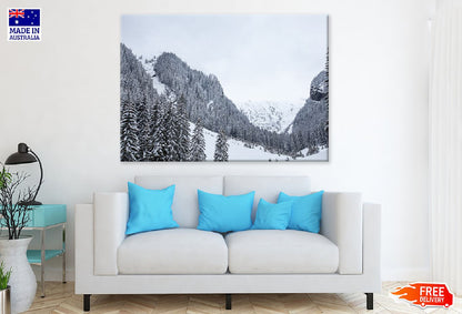 Pine Snow Covered Forest View Photograph Print 100% Australian Made