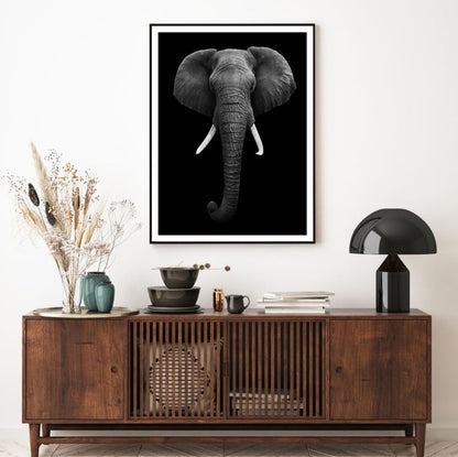 Elephant Portrait B&W Photograph Home Decor Premium Quality Poster Print Choose Your Sizes