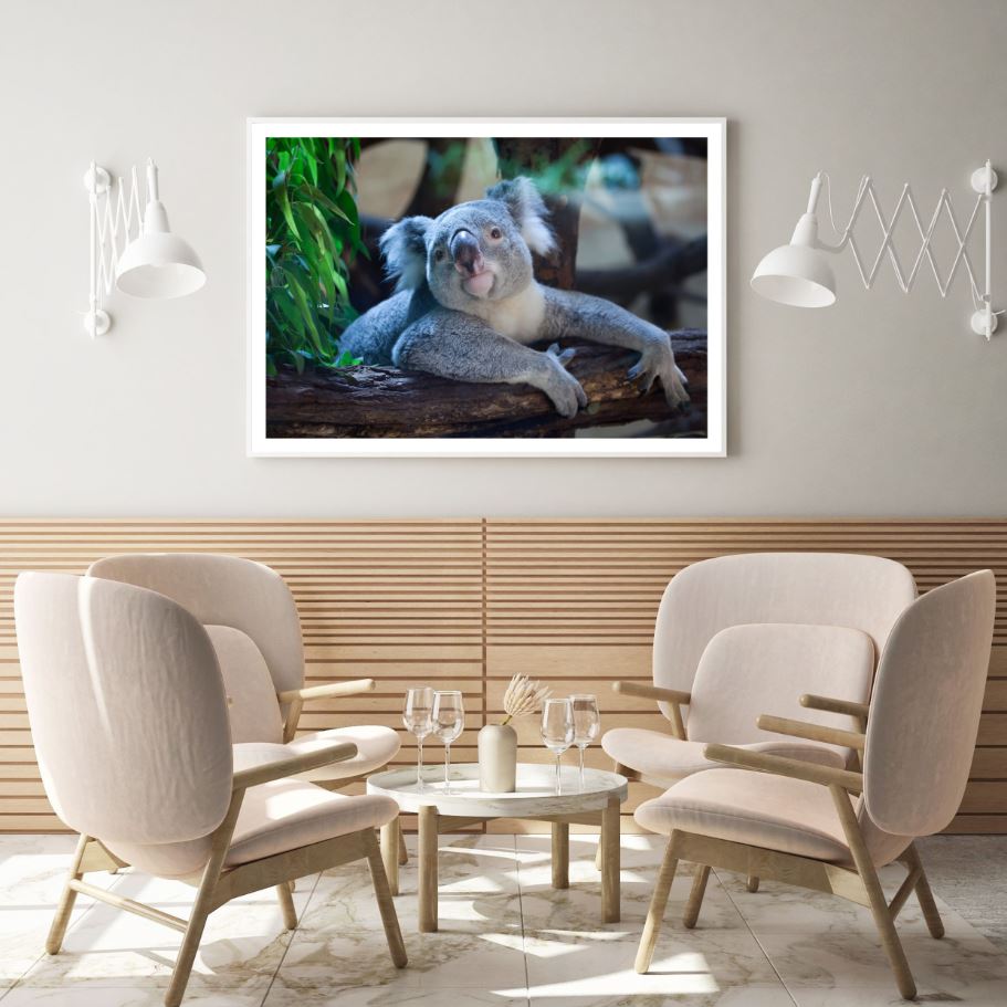 Koala Bear on Tree Photograph Home Decor Premium Quality Poster Print Choose Your Sizes