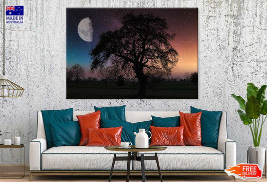 Alone Tree with Moon Sky Scenery Photograph Print 100% Australian Made