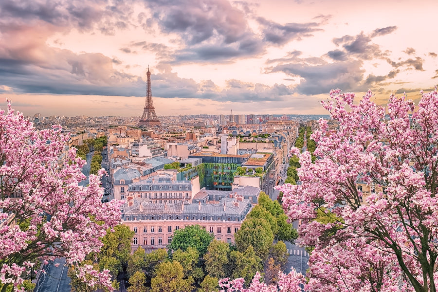 Paris City in Springtime Scenery View Photograph Print 100% Australian Made