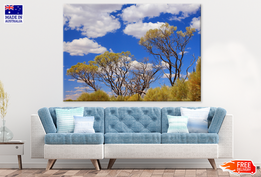 Trees & Sky View Photograph Print 100% Australian Made