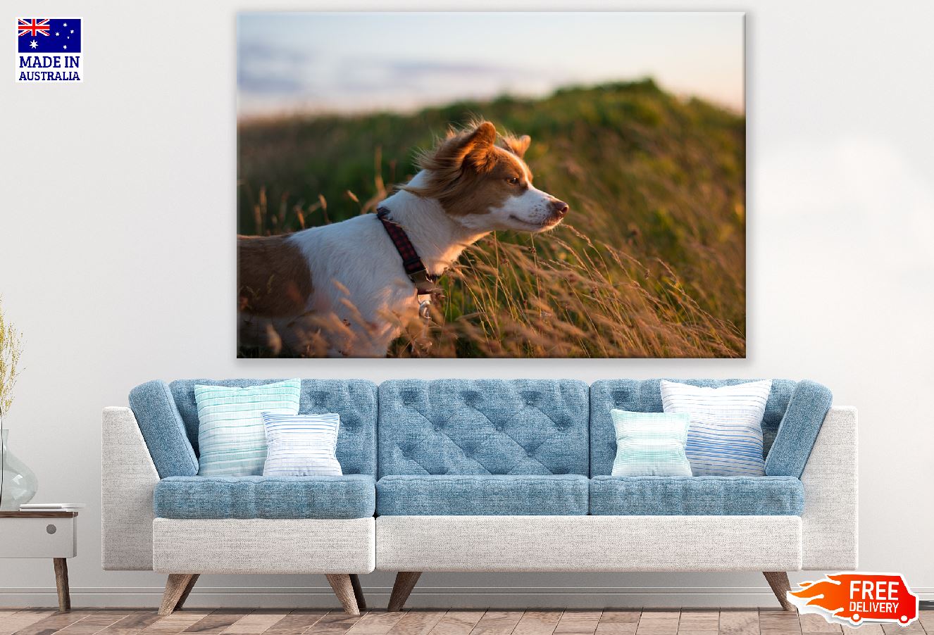 Dog Closeup Sunset Photograph Print 100% Australian Made