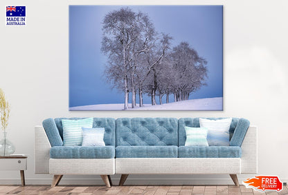 Snow Covered Trees Photograph Print 100% Australian Made