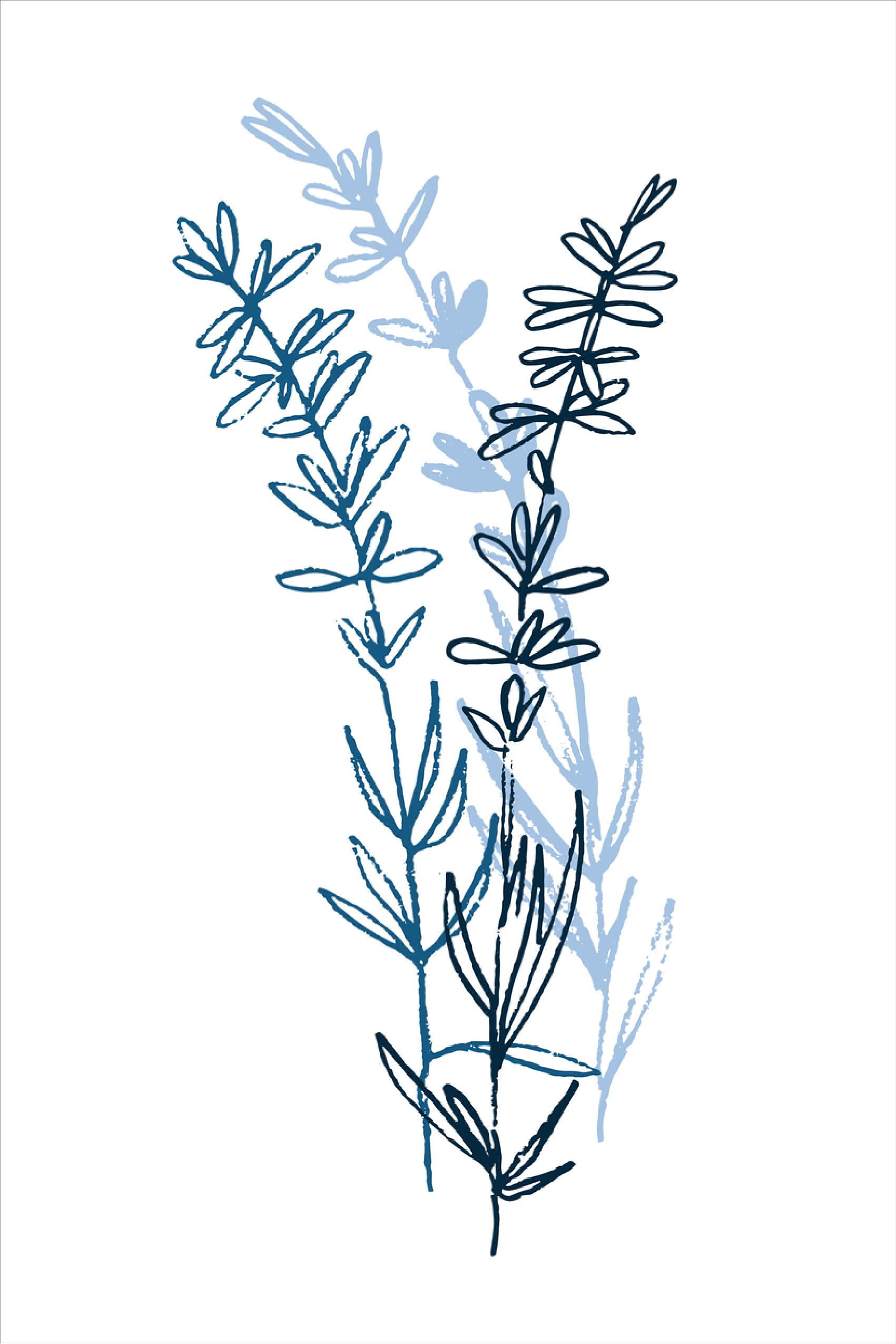 Green & Blue Plants Line Art Print 100% Australian Made