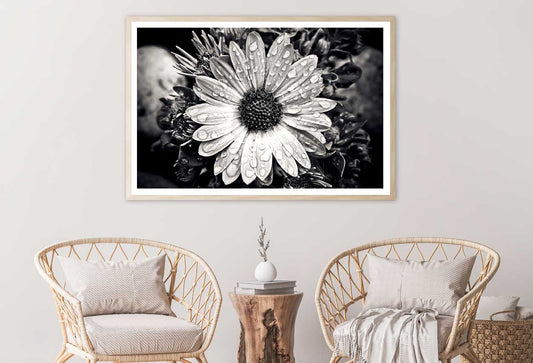 Purple Dahlia Flower Closeup View Home Decor Premium Quality Poster Print Choose Your Sizes