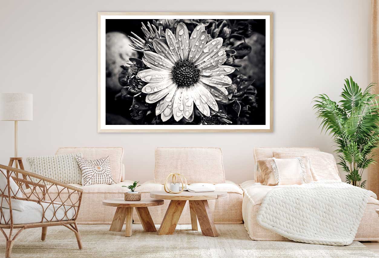 Purple Dahlia Flower Closeup View Home Decor Premium Quality Poster Print Choose Your Sizes