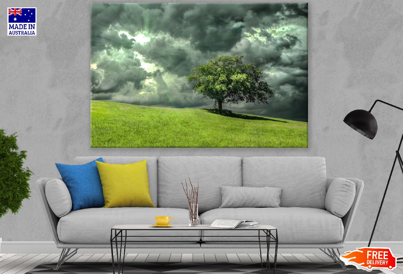 Tree on Mountain Under Dark Clouds Photograph Print 100% Australian Made