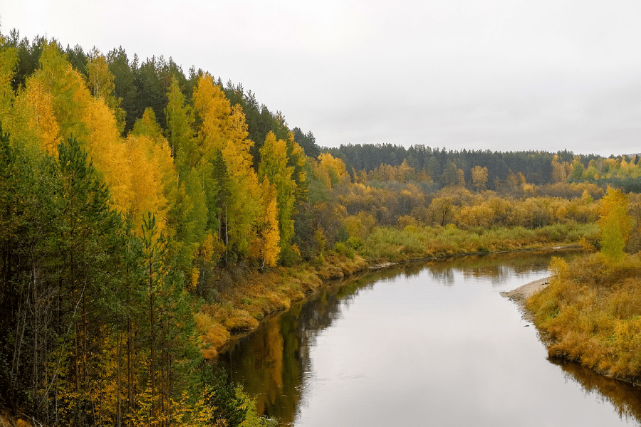 Autumn Forest & Lake Photograph Print 100% Australian Made