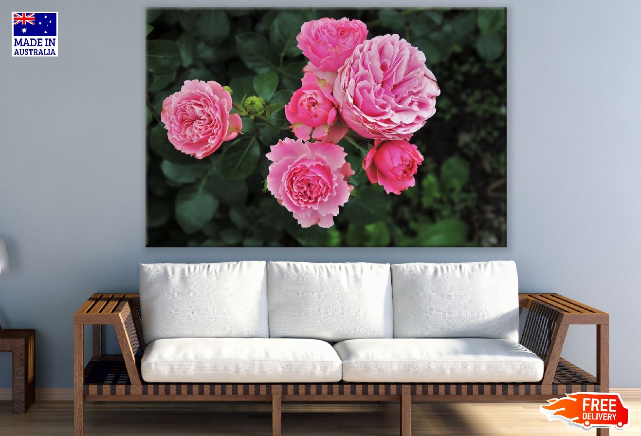 Wild Roses Flower Closeup Photograph Print 100% Australian Made