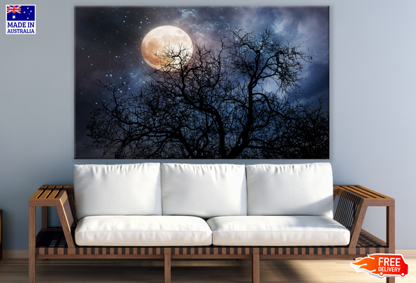 Moon Through a Tree Night Photograph Print 100% Australian Made