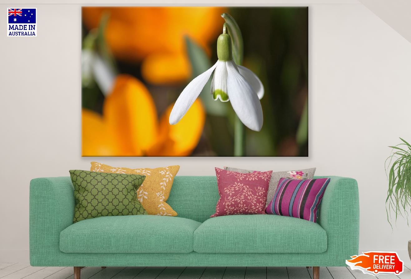 White Snowdrop Flower Closeup Photograph Print 100% Australian Made