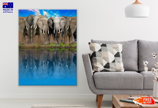 Elephant Heard Near Lake Photograph Print 100% Australian Made