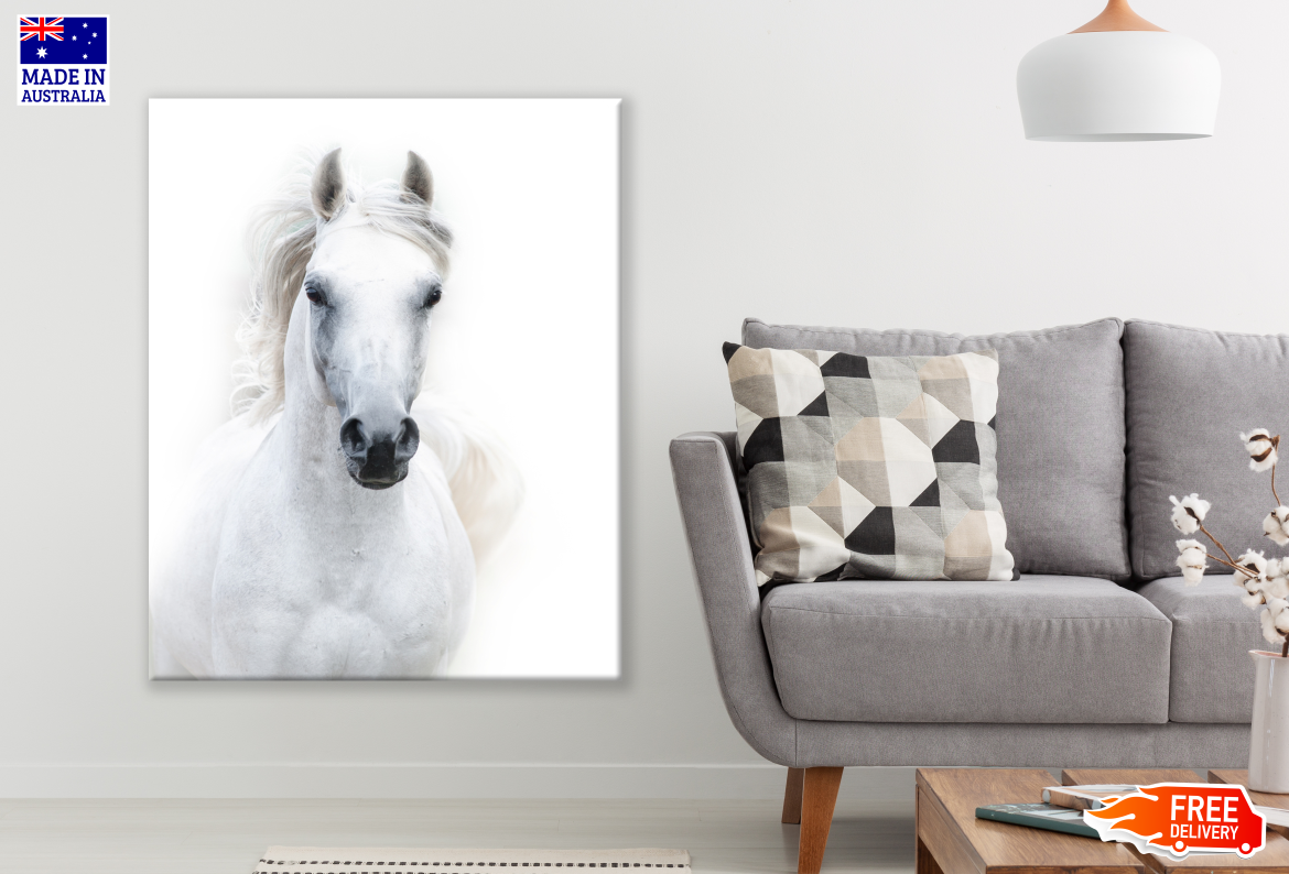 White Horse Portrait Photograph Print 100% Australian Made