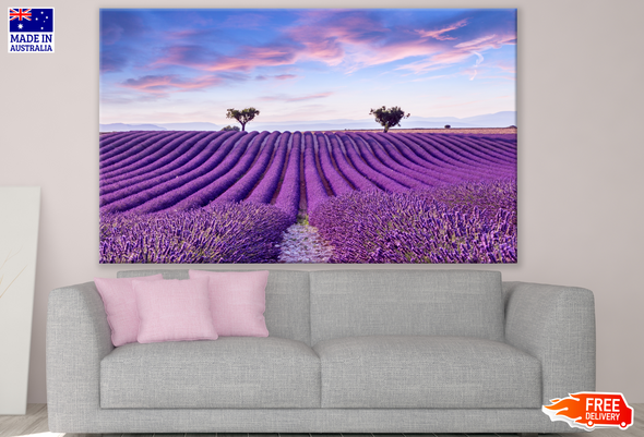 Beautiful Lavender Field Photograph Print 100% Australian Made