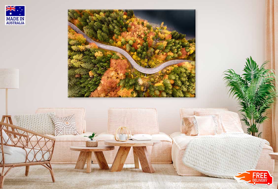 Autumn Forest Covered Road Aerial View Photograph Print 100% Australian Made