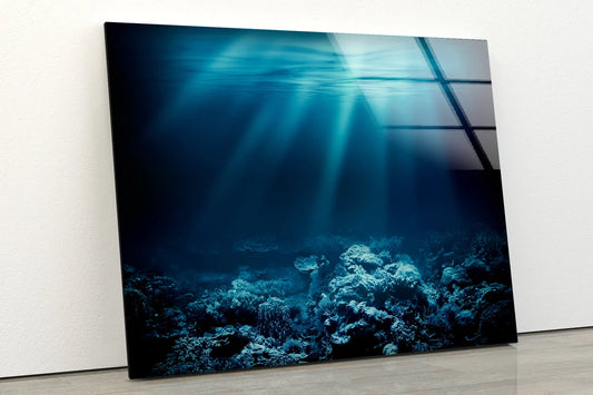 Sea Underwater View Photograph Acrylic Glass Print Tempered Glass Wall Art 100% Made in Australia Ready to Hang
