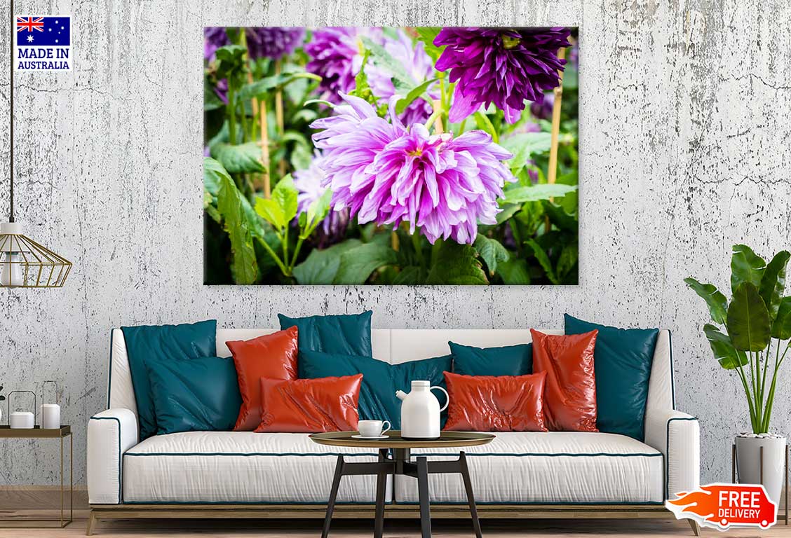 Purple Chrysanthemum Flower View Photograph Print 100% Australian Made