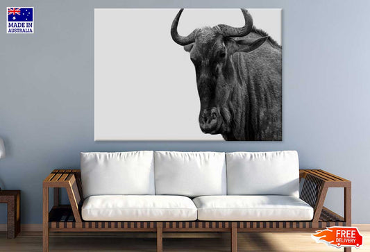 African Buffalo B&W Photograph Print 100% Australian Made