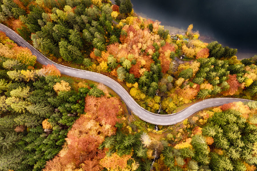 Autumn Forest Covered Road Aerial View Photograph Print 100% Australian Made