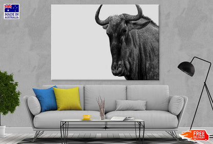 African Buffalo B&W Photograph Print 100% Australian Made