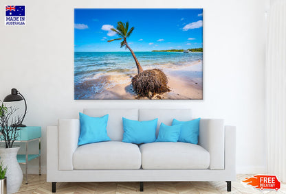 Coconut Palm Tree on Sea View Photograph Print 100% Australian Made