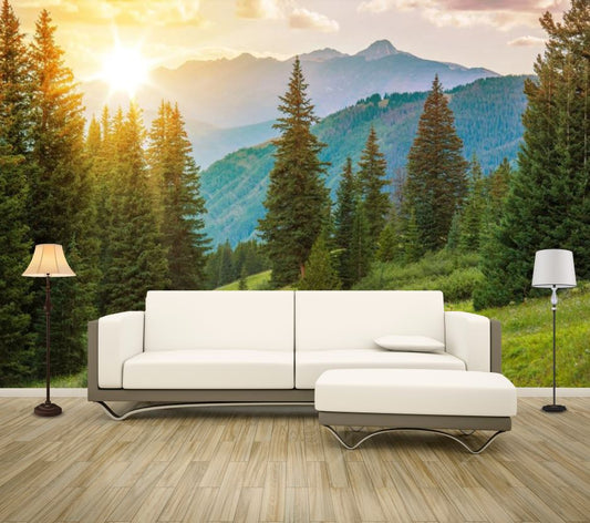 Wallpaper Murals Peel and Stick Removable Pine Tree Forest High Quality