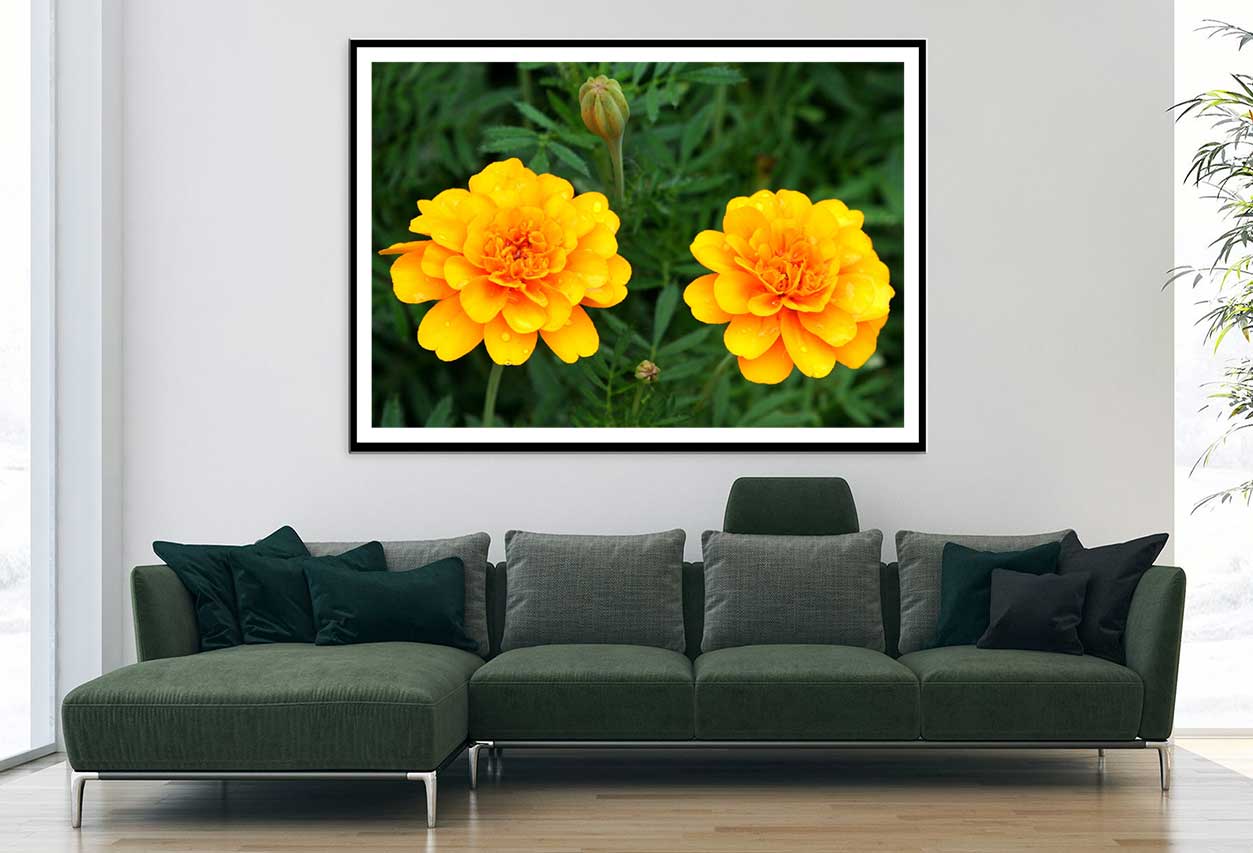 Orange Marigold Flowers View Photograph Home Decor Premium Quality Poster Print Choose Your Sizes