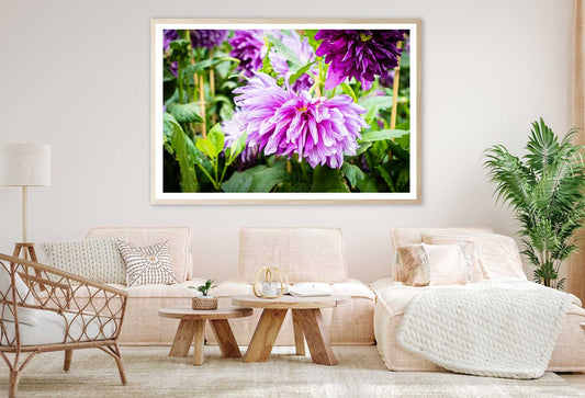 Purple Chrysanthemum Flower View Photograph Home Decor Premium Quality Poster Print Choose Your Sizes