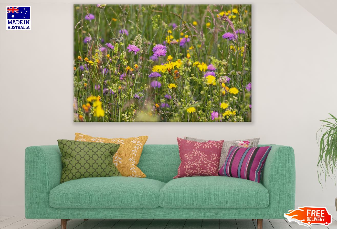 Wildflower Meadow Photograph Print 100% Australian Made