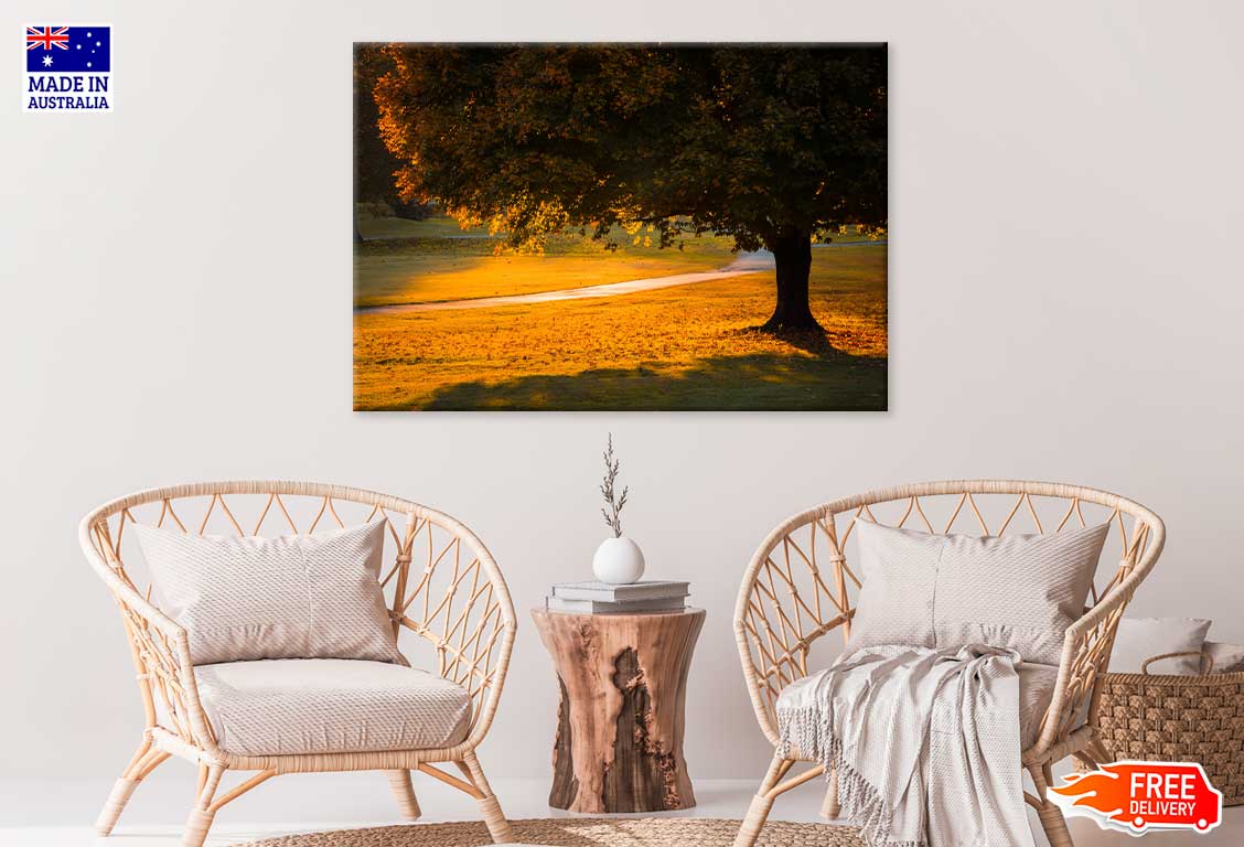 Sunshine Through Autumn Tree & Footpath Photograph Print 100% Australian Made