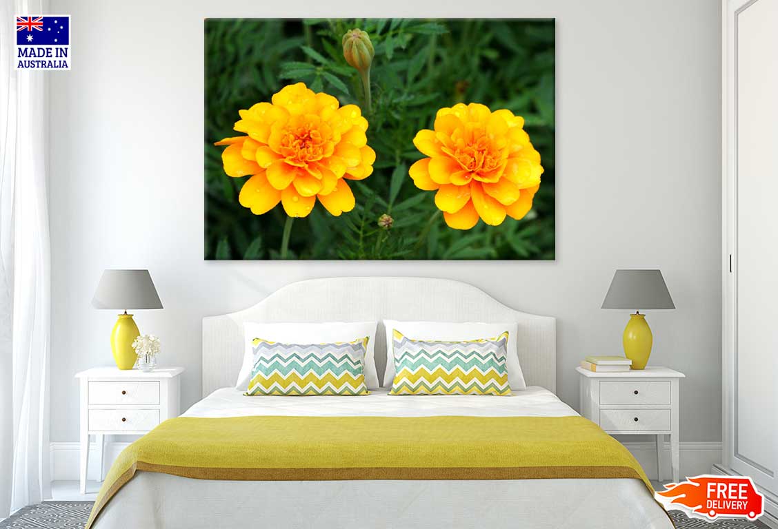 Orange Marigold Flowers View Photograph Print 100% Australian Made