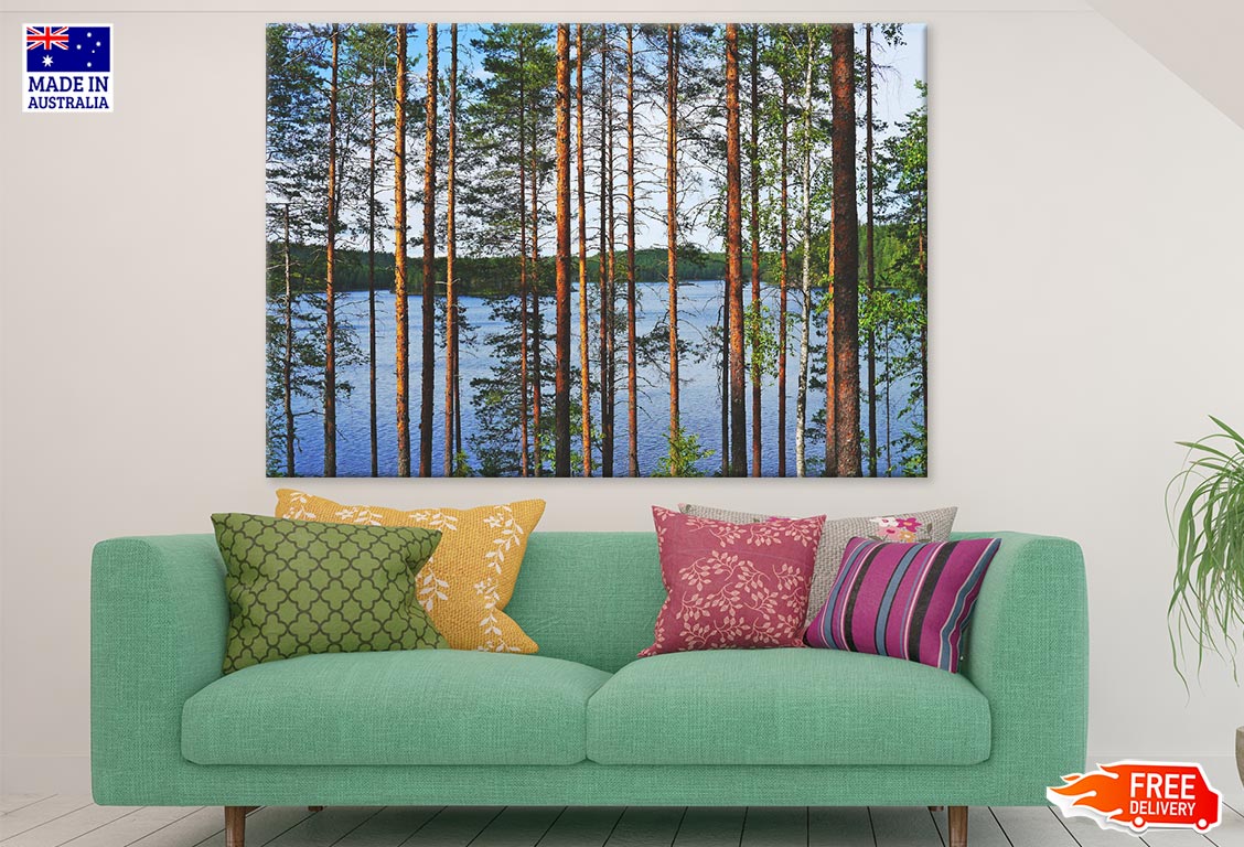 Tree Forest in Lake Photograph Print 100% Australian Made