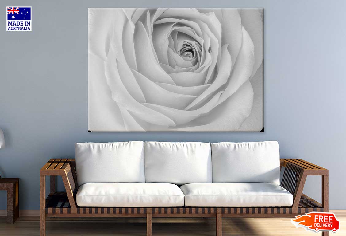 Rose Flower Closeup B&W View Print 100% Australian Made