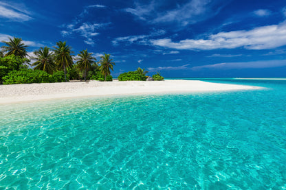 White Sand Tropical Beach & Trees Photograph Print 100% Australian Made