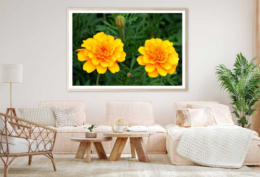 Orange Marigold Flowers View Photograph Home Decor Premium Quality Poster Print Choose Your Sizes