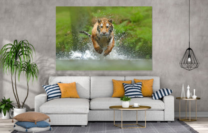 Tiger Stunning Print 100% Australian Made