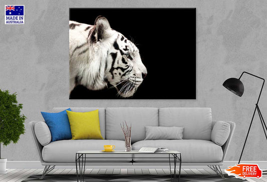 White Tiger Side View Photograph Print 100% Australian Made