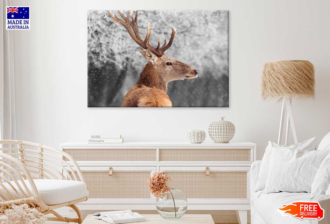 Deer in Winter Scenery Photograph Print 100% Australian Made